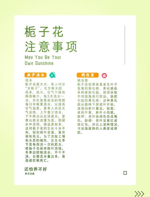 栀子花怎么浇水，栀子花怎么浇水才合理-第6张图片-优品飞百科