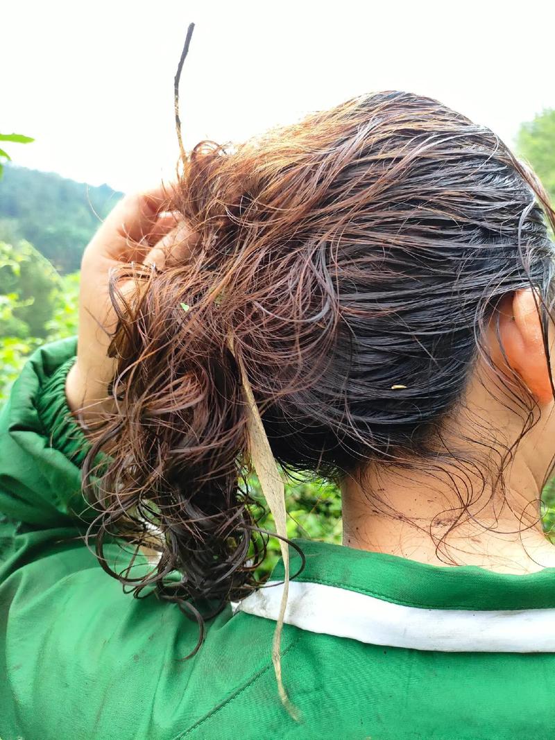 关于你家的花丑成“梅超风”的信息-第3张图片-优品飞百科