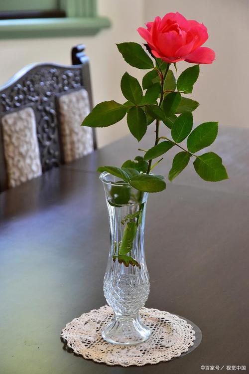 玫瑰花怎么养水里才开花,玫瑰鲜花怎么水里养的时间长?-第2张图片-优品飞百科 玫瑰花怎么养水里才开花,玫瑰鲜花怎么水里养的时间长?-第2张图片-优品飞百科