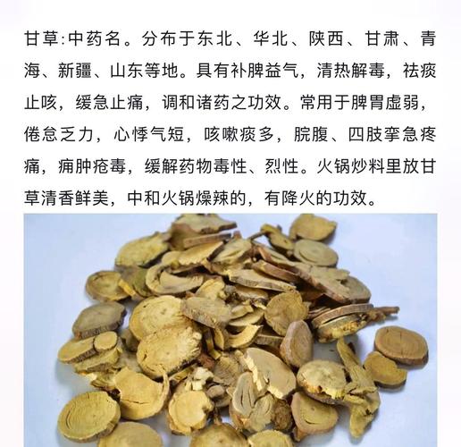 八角乌怎么养，八角乌的用法？-第5张图片-优品飞百科