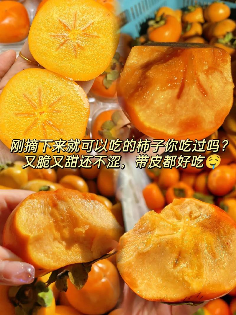 柿子发涩麻嘴巴，柿子麻嘴怎么办-第2张图片-优品飞百科