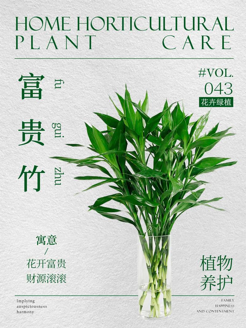 富贵竹长高了怎么修剪，富贵竹越长越高代表什么