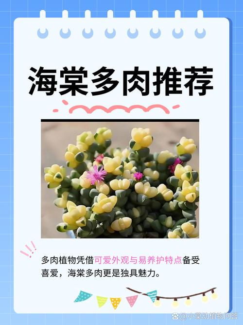 鹿角海棠怎么养，鹿角海棠怎么养成老桩-第6张图片-优品飞百科