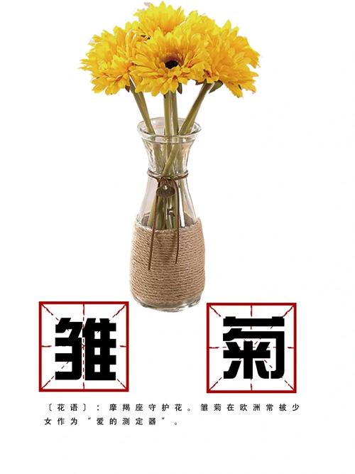 雏菊盆栽多少天浇一次水？雏菊盆栽多少天浇一次水好？-第2张图片-优品飞百科