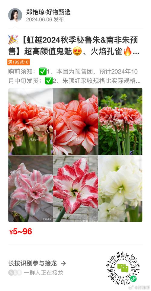 朱顶红的花期怎么延长，怎样让朱顶红来年开花？-第3张图片-优品飞百科