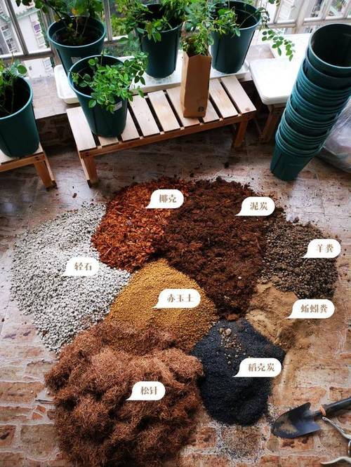 园土板结怎么才能疏松，田园土板结-第5张图片-优品飞百科