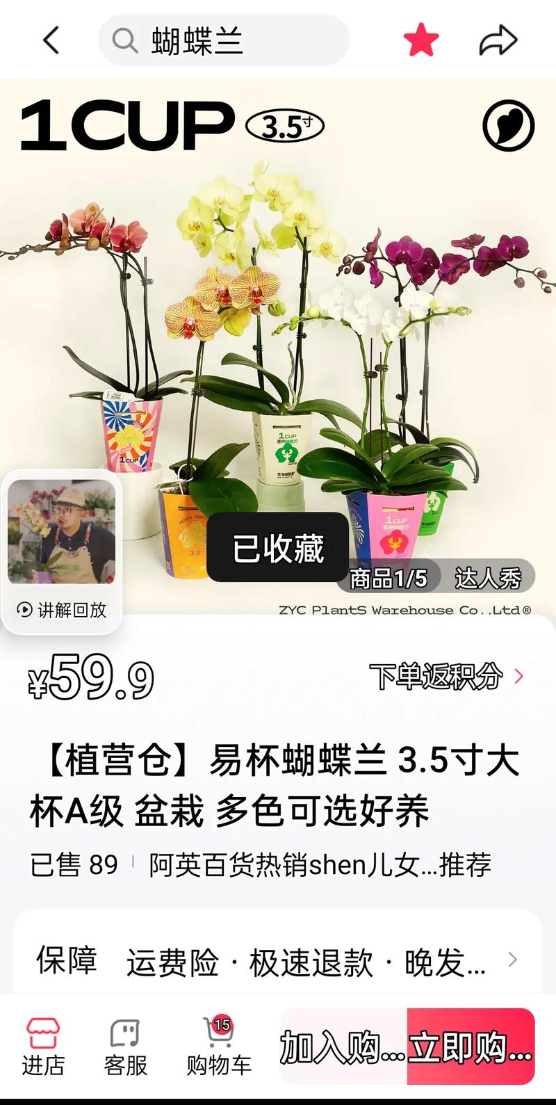 盆栽蝴蝶兰怎么养，盆栽蝴蝶兰怎么养才能开花-第3张图片-优品飞百科