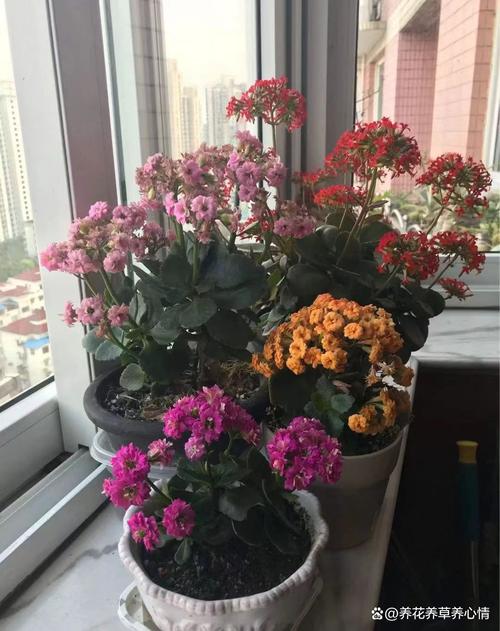 方便袋不要扔？方便袋以后还能让卖吗？-第3张图片-优品飞百科