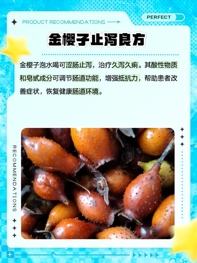 樱草花怎么养殖，樱草花怎么养殖视频？