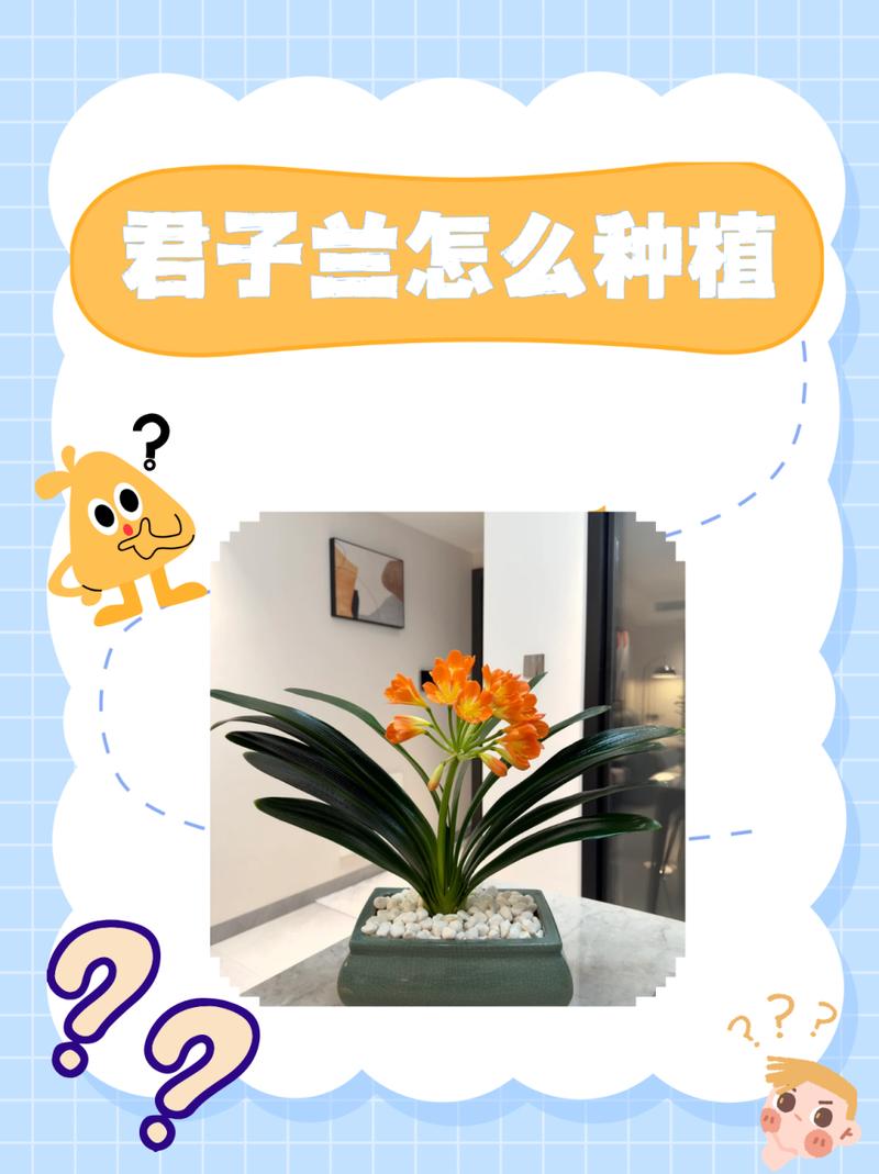 君子兰种子种植方法？君子兰种子种植方法和种植时间用温水泡要换温水吗?？