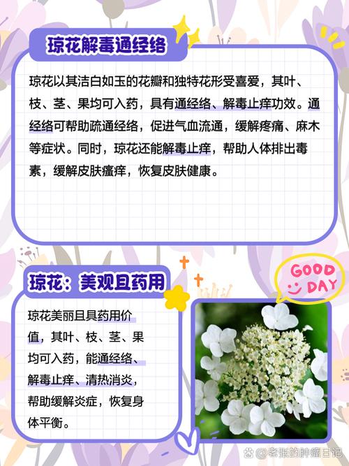 琼花怎么嫁接,琼花怎么嫁接中华木绣球视频?-第5张图片-优品飞百科 琼花怎么嫁接,琼花怎么嫁接中华木绣球视频?-第5张图片-优品飞百科