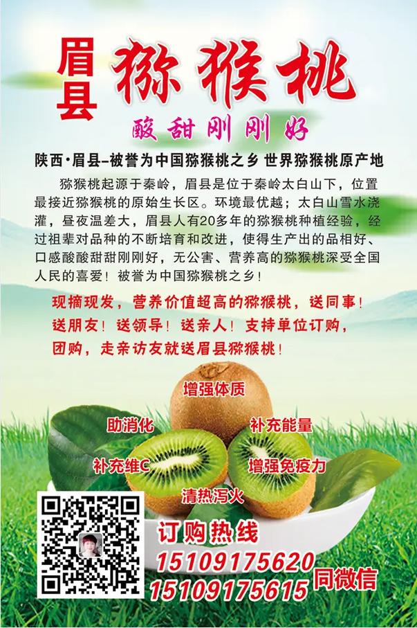 猕猴桃的养殖方法，猕猴桃如何养殖？-第6张图片-优品飞百科