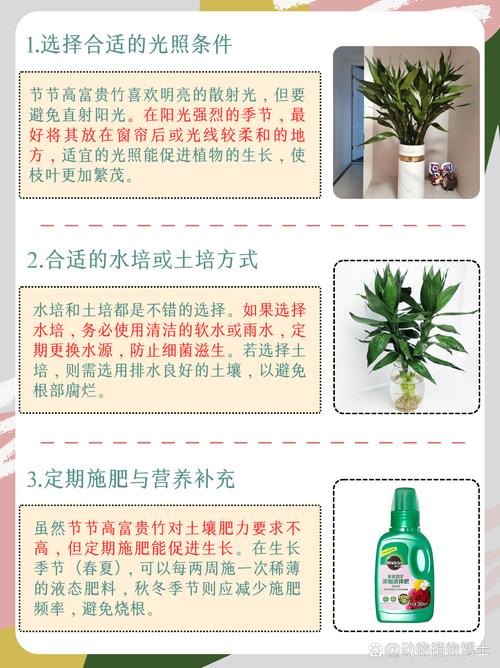 节节高多久换一次水，节节高怎么换水-第5张图片-优品飞百科