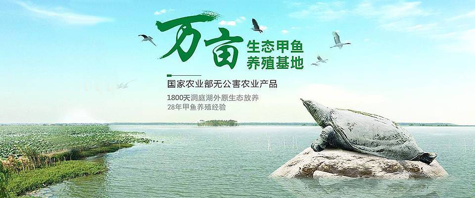 紫荆的冬天养殖禁忌?紫荆花冬天的养殖方法和注意事项?-第5张图片-优品飞百科 紫荆的冬天养殖禁忌?紫荆花冬天的养殖方法和注意事项?-第5张图片-优品飞百科