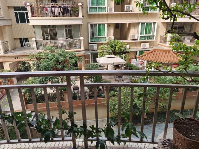 怎么给百香果换盆？百香果换土？-第7张图片-优品飞百科