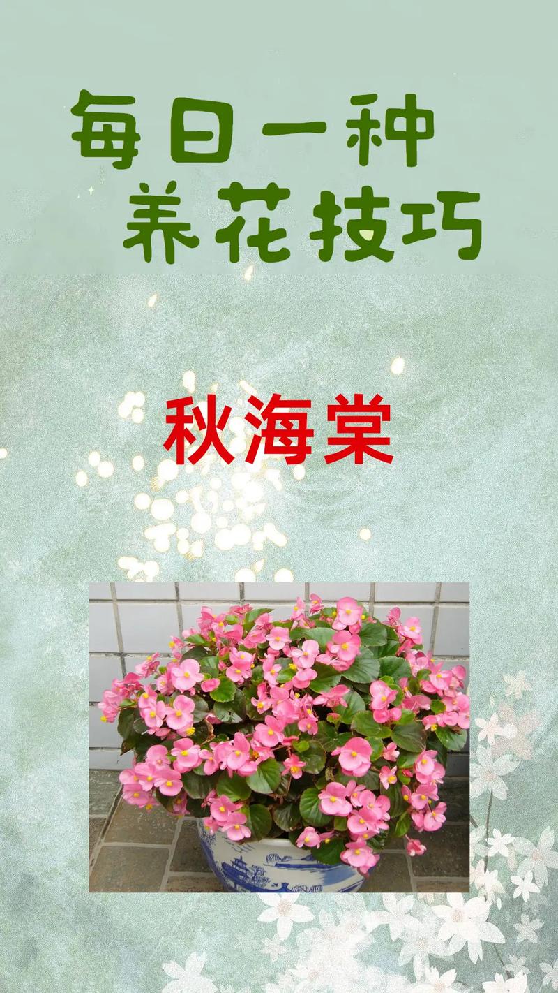 海棠如何种植?海棠种植方法和时间?-第6张图片-优品飞百科 海棠如何种植?海棠种植方法和时间?-第6张图片-优品飞百科