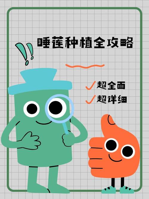 睡莲的种植方法,睡莲的种植方法和注意事项-第3张图片-优品飞百科 睡莲的种植方法,睡莲的种植方法和注意事项-第3张图片-优品飞百科