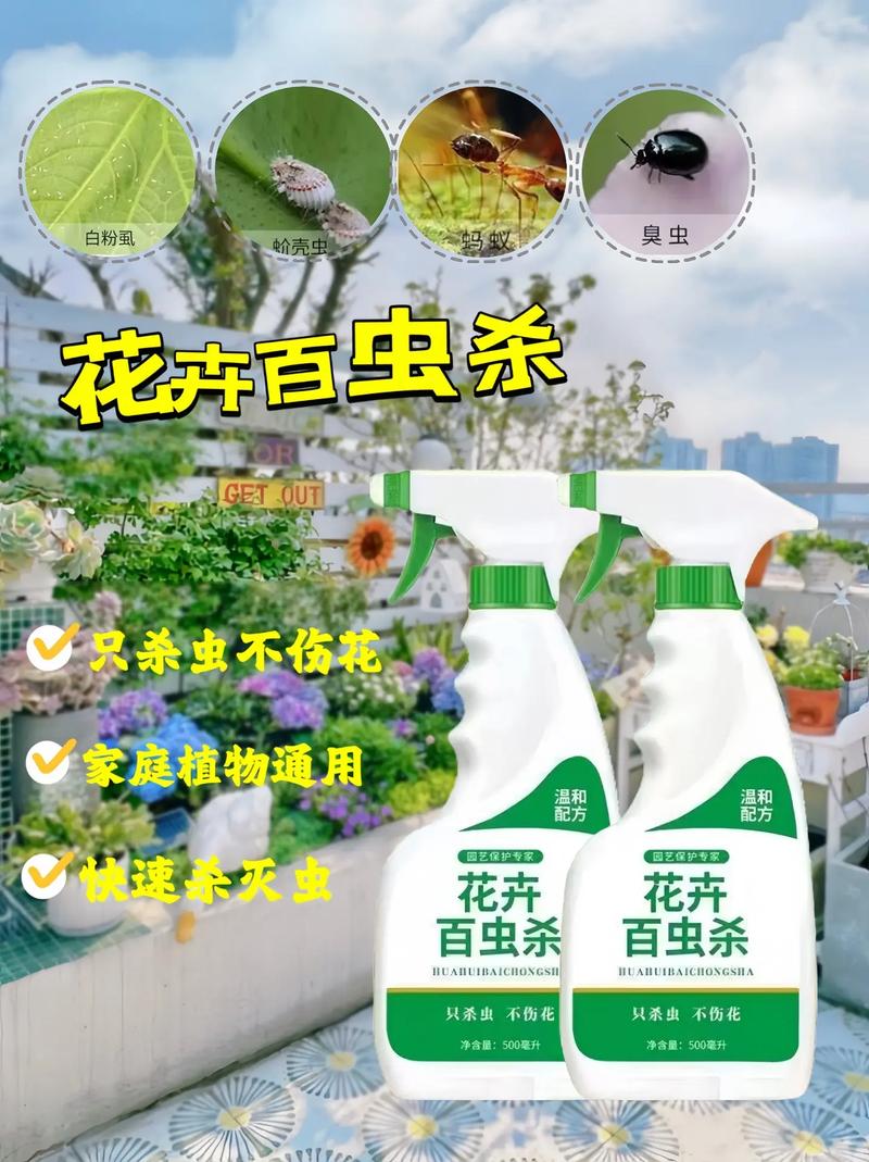 家里花爱招“虫子”，家里的花招腻虫怎么办？-第6张图片-优品飞百科