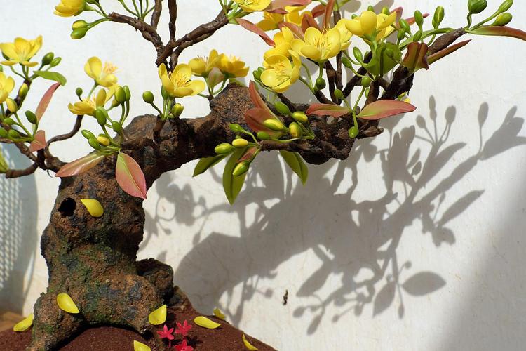 雀梅盆景怎么修剪，雀梅盆景修剪时间-第8张图片-优品飞百科