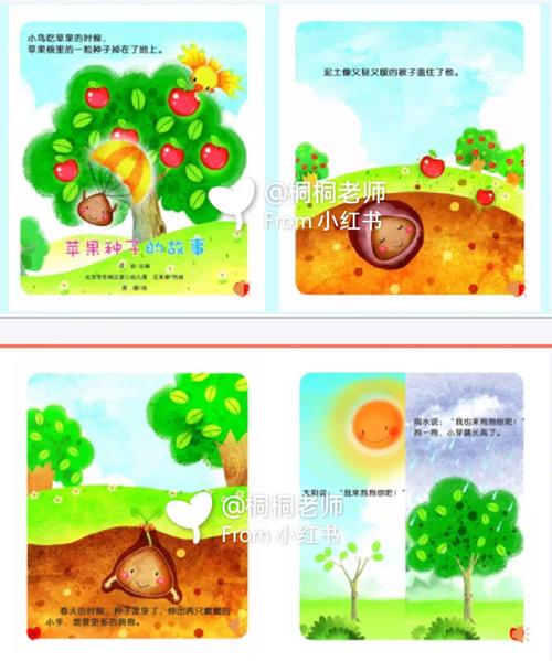 苹果种子如何育苗，苹果种子育苗方法全过程简笔画？