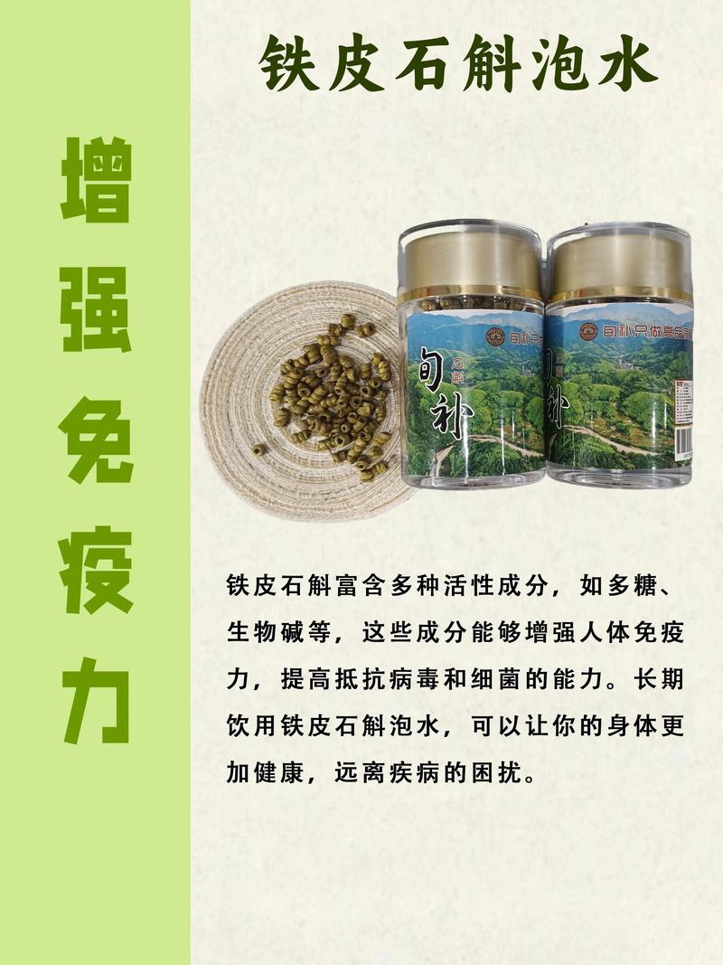 铁皮石斛水培的方法,家庭铁皮石斛水培方法如下-第3张图片-优品飞百科 铁皮石斛水培的方法,家庭铁皮石斛水培方法如下-第3张图片-优品飞百科