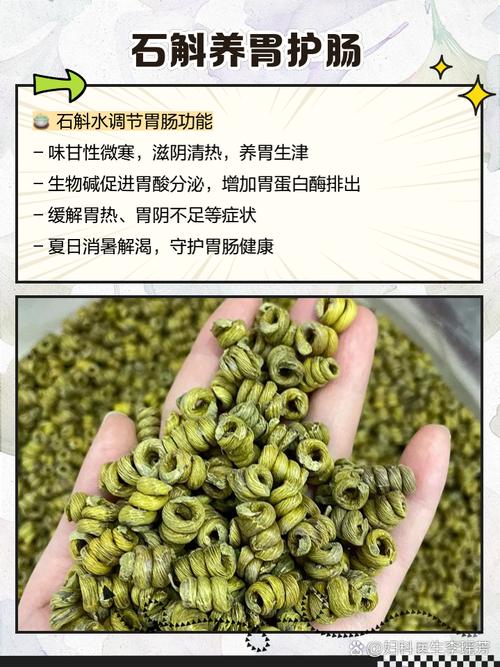 铁皮石斛水培的方法,家庭铁皮石斛水培方法如下-第6张图片-优品飞百科 铁皮石斛水培的方法,家庭铁皮石斛水培方法如下-第6张图片-优品飞百科