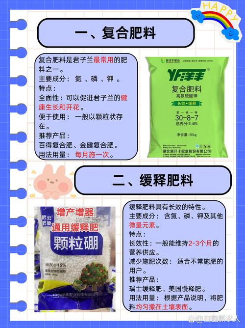 君子兰肥料怎样自制？君子兰肥料怎么施肥？-第4张图片-优品飞百科