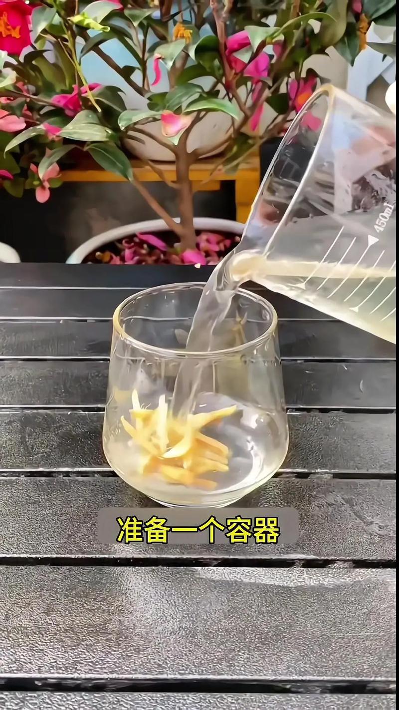 君子兰怎么养才能开花，君子兰怎么养才能开花,开花的窍门-第6张图片-优品飞百科