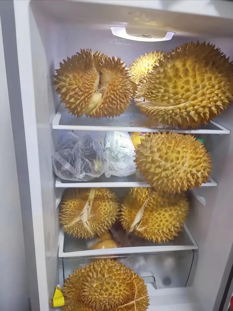 榴莲怎么保存,带壳榴莲怎么保存?-第3张图片-优品飞百科 榴莲怎么保存,带壳榴莲怎么保存?-第3张图片-优品飞百科