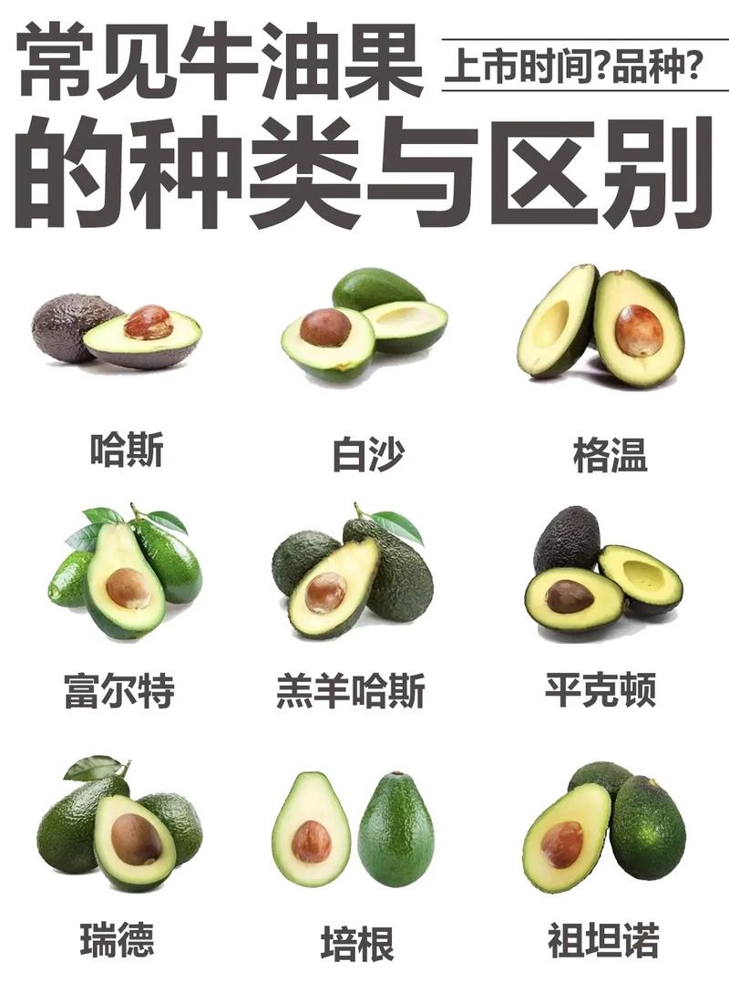 牛油果就是鳄梨吗？牛油果和鳄梨是一个东西吗？