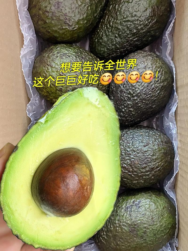 牛油果就是鳄梨吗？牛油果和鳄梨是一个东西吗？-第2张图片-优品飞百科