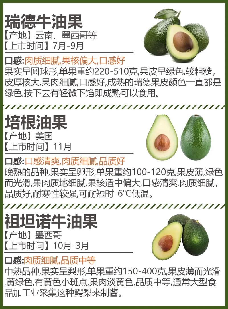 牛油果就是鳄梨吗？牛油果和鳄梨是一个东西吗？-第5张图片-优品飞百科