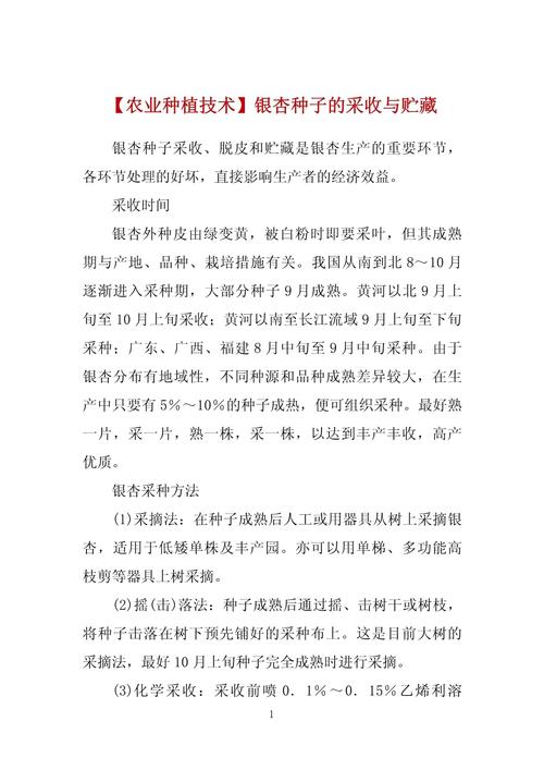 白果种子怎么保存，白果种子如何盆栽？-第4张图片-优品飞百科