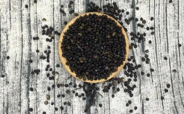 花椒籽怎么种才能发芽？花椒籽怎么种发芽最快？