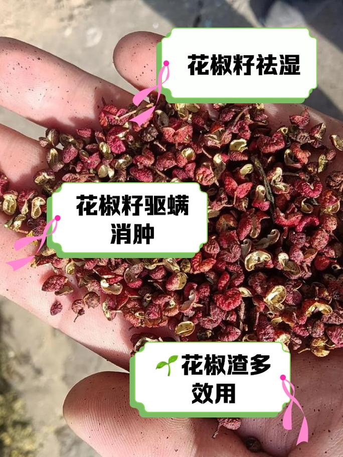花椒籽怎么种才能发芽？花椒籽怎么种发芽最快？-第4张图片-优品飞百科