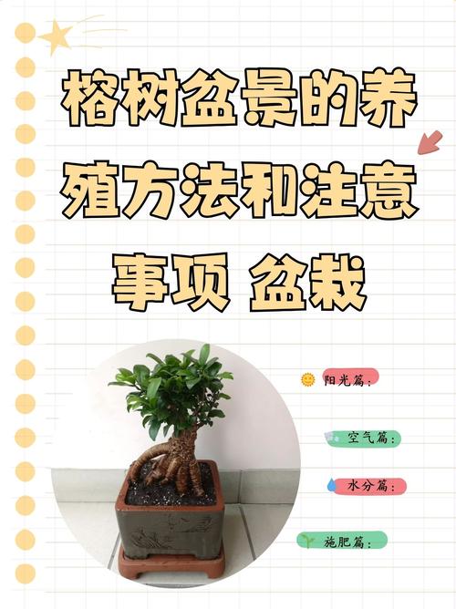 小叶榕树的养殖方法，小叶榕树的养殖方法和管理-第7张图片-优品飞百科