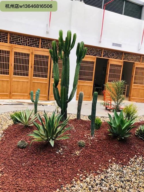 大戟阁锦浇水要浇透吗？大戟科浇水？-第6张图片-优品飞百科