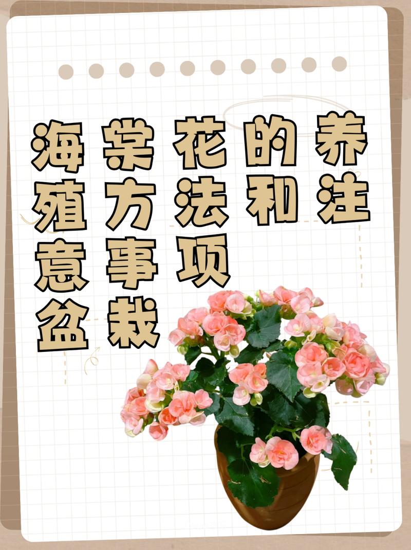 海棠花用什么盆养,海棠花用什么盆养比较好?-第2张图片-优品飞百科 海棠花用什么盆养,海棠花用什么盆养比较好?-第2张图片-优品飞百科