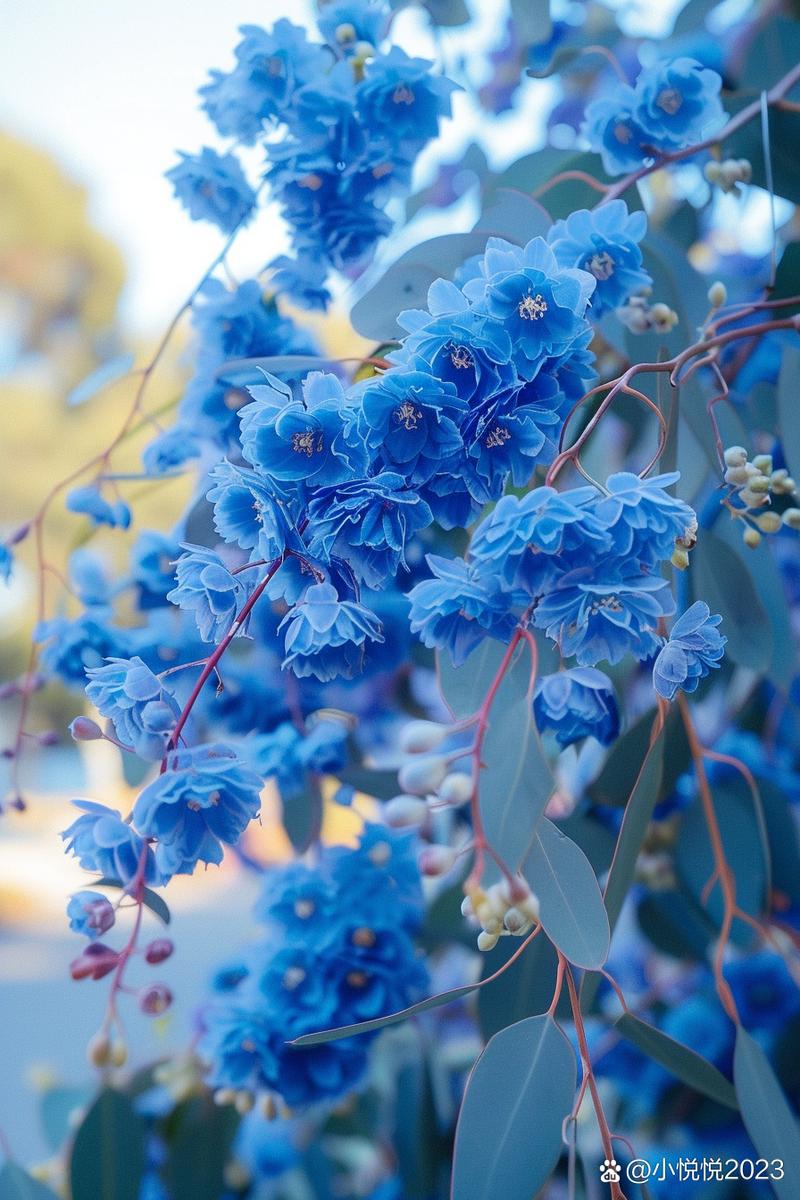 蓝色的花有哪些，蓝色的花有哪些品种？-第2张图片-优品飞百科