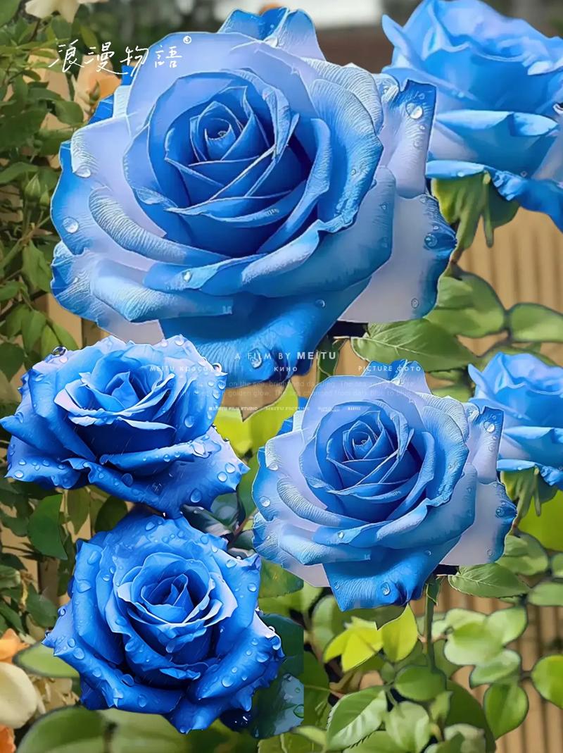 蓝色的花有哪些，蓝色的花有哪些品种？-第3张图片-优品飞百科