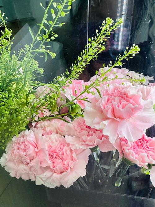 这花千万别花钱买，花钱买花值吗？-第3张图片-优品飞百科