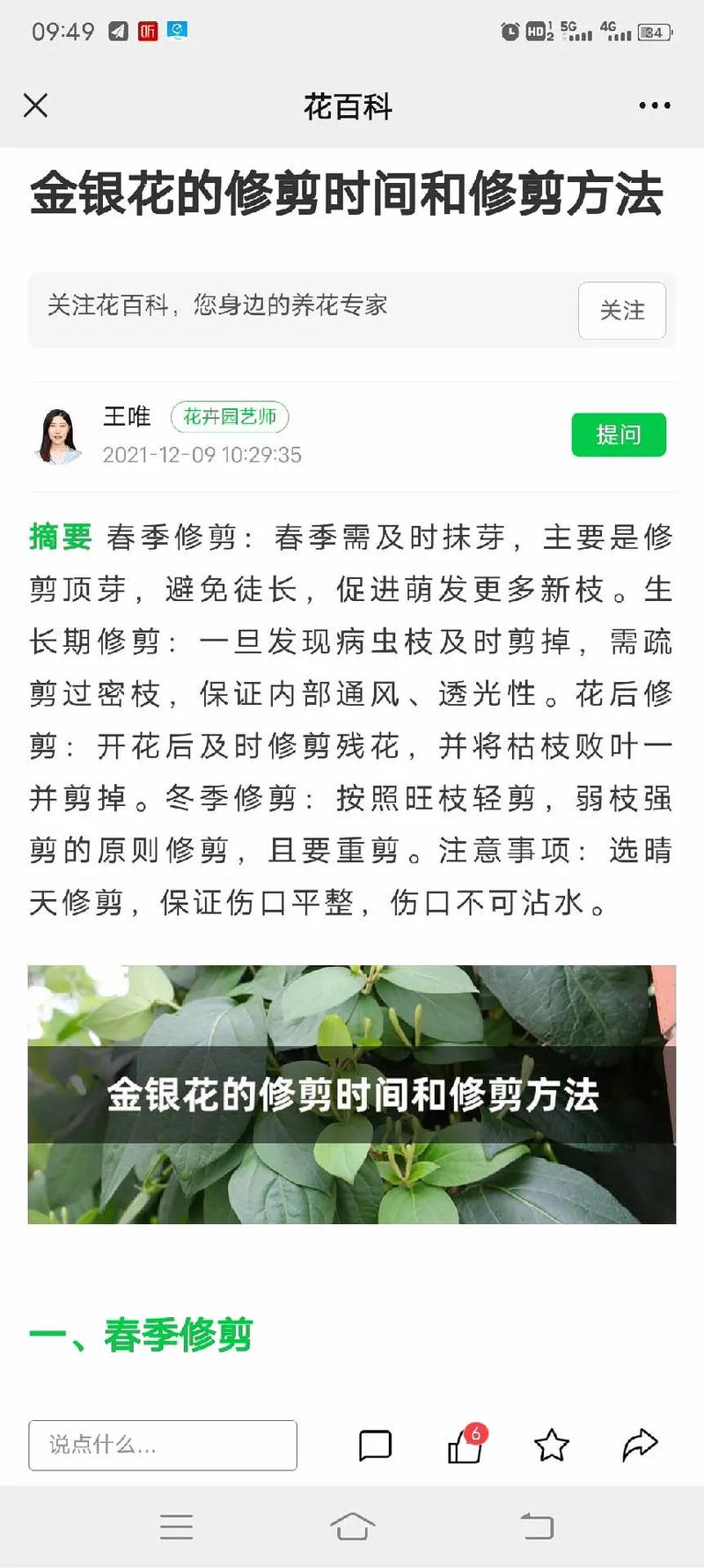 金银花怎么种植，金银花怎么种植盆栽-第5张图片-优品飞百科