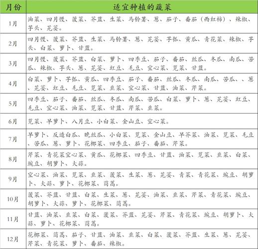 一月份种什么菜，一月份种什么菜好活？-第2张图片-优品飞百科