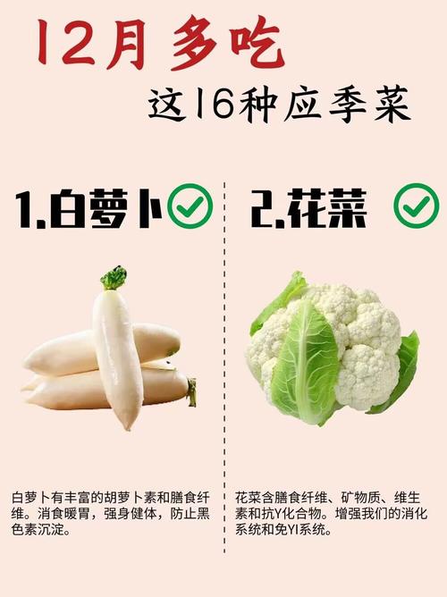 一月份种什么菜，一月份种什么菜好活？-第3张图片-优品飞百科