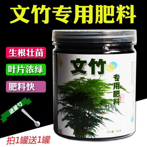 文竹用什么肥料好？文竹用什么肥料好活？-第3张图片-优品飞百科