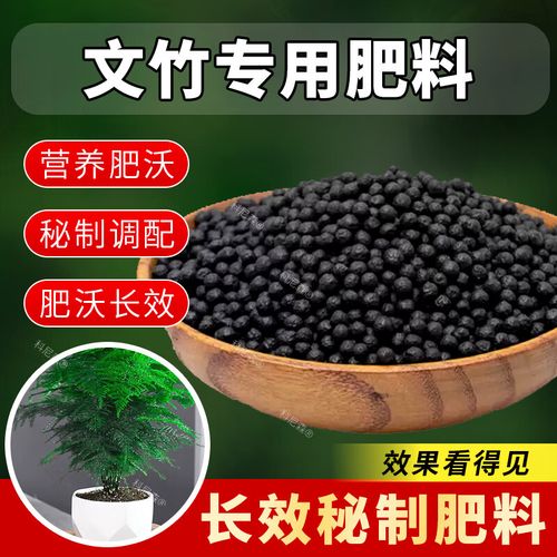 文竹用什么肥料好？文竹用什么肥料好活？-第4张图片-优品飞百科