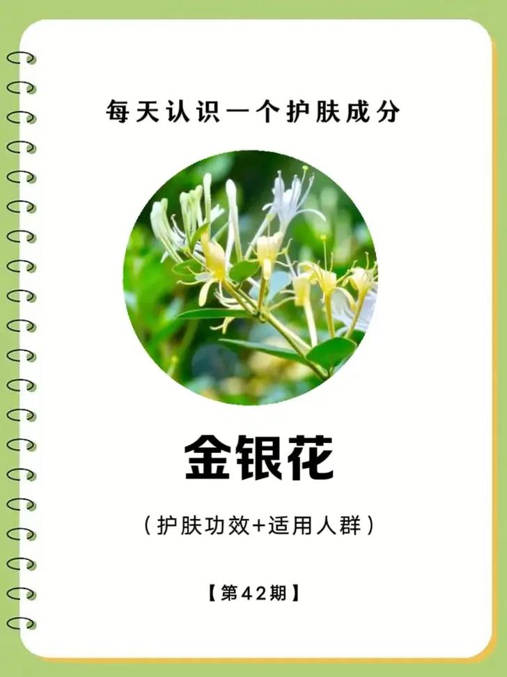 金银花施肥禁忌,金银花的春季施肥视频?-第2张图片-优品飞百科 金银花施肥禁忌,金银花的春季施肥视频?-第2张图片-优品飞百科