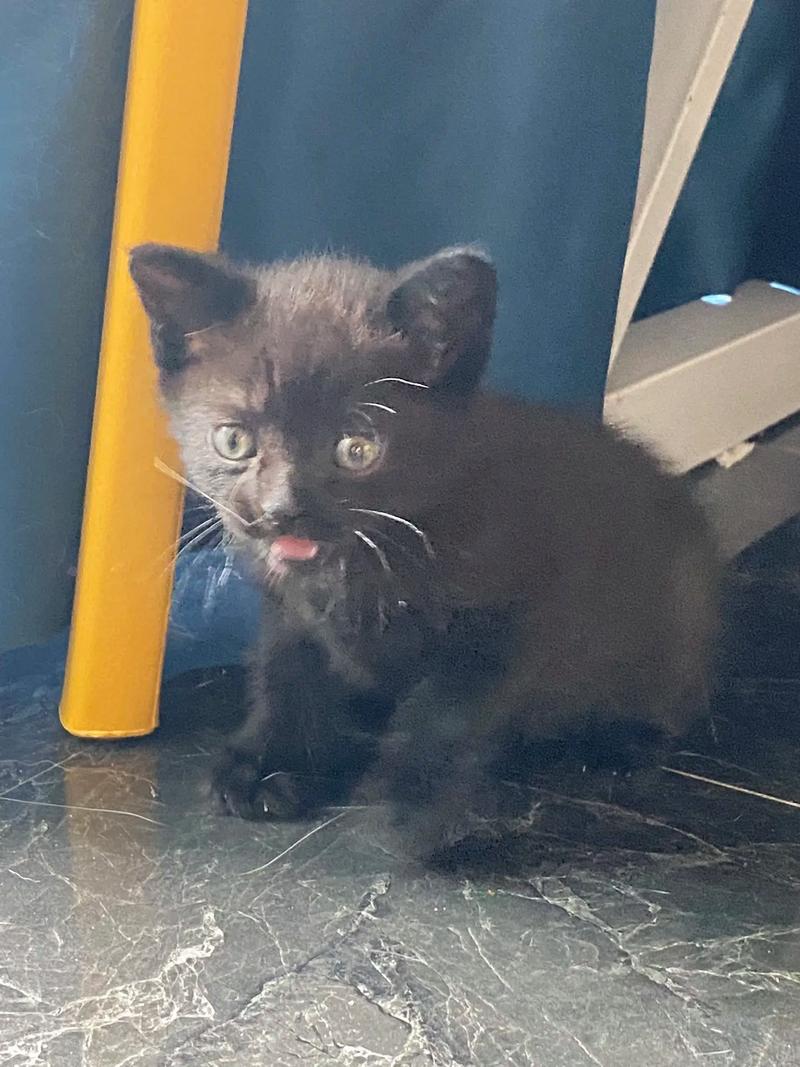 垃圾桶里捡点它，垃圾桶里捡的东西算偷吗？-第5张图片-优品飞百科