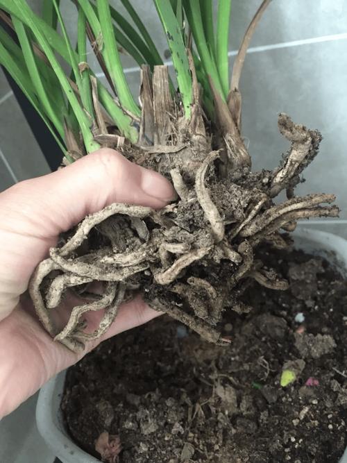 垃圾桶里捡点它，垃圾桶里捡的东西算偷吗？-第7张图片-优品飞百科