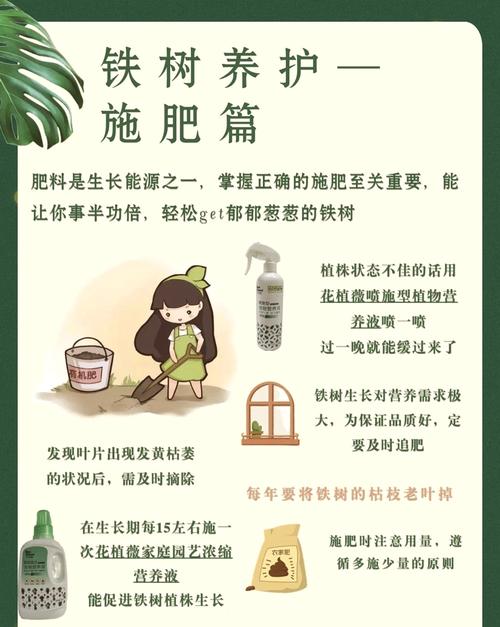 铁树怎么养及注意事项，铁树的养殖方法和注意事项,生长是否快-第1张图片-优品飞百科